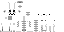 Minecraft skin texture, 64x32 legacy pixels