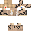 Minecraft skin texture, 64x64 pixels