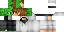 Minecraft skin texture, 64x32 legacy pixels
