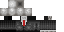 Minecraft skin texture, 64x32 legacy pixels