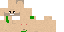 Minecraft skin texture, 64x32 legacy pixels