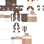 Minecraft skin texture, 64x64 pixels