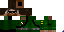 Minecraft skin texture, 64x32 legacy pixels