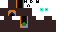 Minecraft skin texture, 64x32 legacy pixels