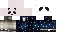 Minecraft skin texture, 64x32 legacy pixels