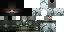 Minecraft skin texture, 64x32 legacy pixels