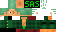 Minecraft skin texture, 64x32 legacy pixels