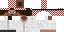 Minecraft skin texture, 64x32 legacy pixels