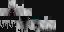 Minecraft skin texture, 64x32 legacy pixels