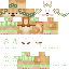 Minecraft skin texture, 64x64 pixels