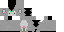 Minecraft skin texture, 64x32 legacy pixels