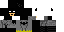 Minecraft skin texture, 64x32 legacy pixels
