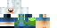 Minecraft skin texture, 64x32 legacy pixels