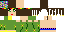 Minecraft skin texture, 64x32 legacy pixels