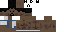 Minecraft skin texture, 64x32 legacy pixels
