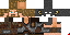 Minecraft skin texture, 64x32 legacy pixels