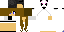 Minecraft skin texture, 64x32 legacy pixels