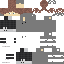 Gray Minecraft skin texture, 64x64 pixels