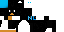 Minecraft skin texture, 64x32 legacy pixels