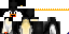 Minecraft skin texture, 64x32 legacy pixels