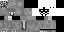 Minecraft skin texture, 64x32 legacy pixels