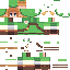 Minecraft skin texture, 64x64 pixels