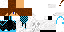 Minecraft skin texture, 64x32 legacy pixels