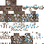 Minecraft skin texture, 64x64 pixels