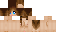 Minecraft skin texture, 64x32 legacy pixels