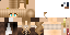 Minecraft skin texture, 64x32 legacy pixels