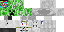 Minecraft skin texture, 64x32 legacy pixels