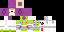 Minecraft skin texture, 64x32 legacy pixels