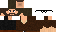 Minecraft skin texture, 64x32 legacy pixels