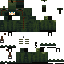Green Minecraft skin texture, 64x64 pixels
