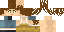 Minecraft skin texture, 64x32 legacy pixels