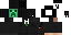 Minecraft skin texture, 64x32 legacy pixels