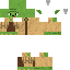 Minecraft skin texture, 64x64 pixels
