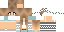 Minecraft skin texture, 64x32 legacy pixels