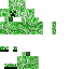 Green Minecraft skin texture, 64x64 pixels