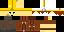 Minecraft skin texture, 64x32 legacy pixels