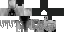 Minecraft skin texture, 64x32 legacy pixels