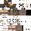 Gray brown Minecraft skin texture, 64x64 pixels