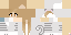 Minecraft skin texture, 64x32 legacy pixels