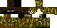 Minecraft skin texture, 64x32 legacy pixels