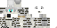 Minecraft skin texture, 64x32 legacy pixels