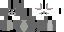 Minecraft skin texture, 64x32 legacy pixels