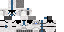 Minecraft skin texture, 64x32 legacy pixels