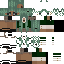 Minecraft skin texture, 64x64 pixels
