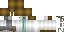 Minecraft skin texture, 64x32 legacy pixels