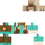 Minecraft skin texture, 64x64 pixels